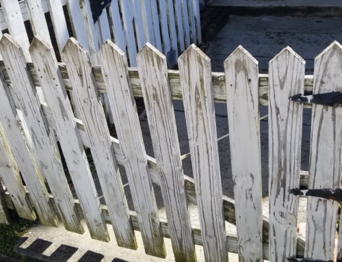 Fence Rebuild Before